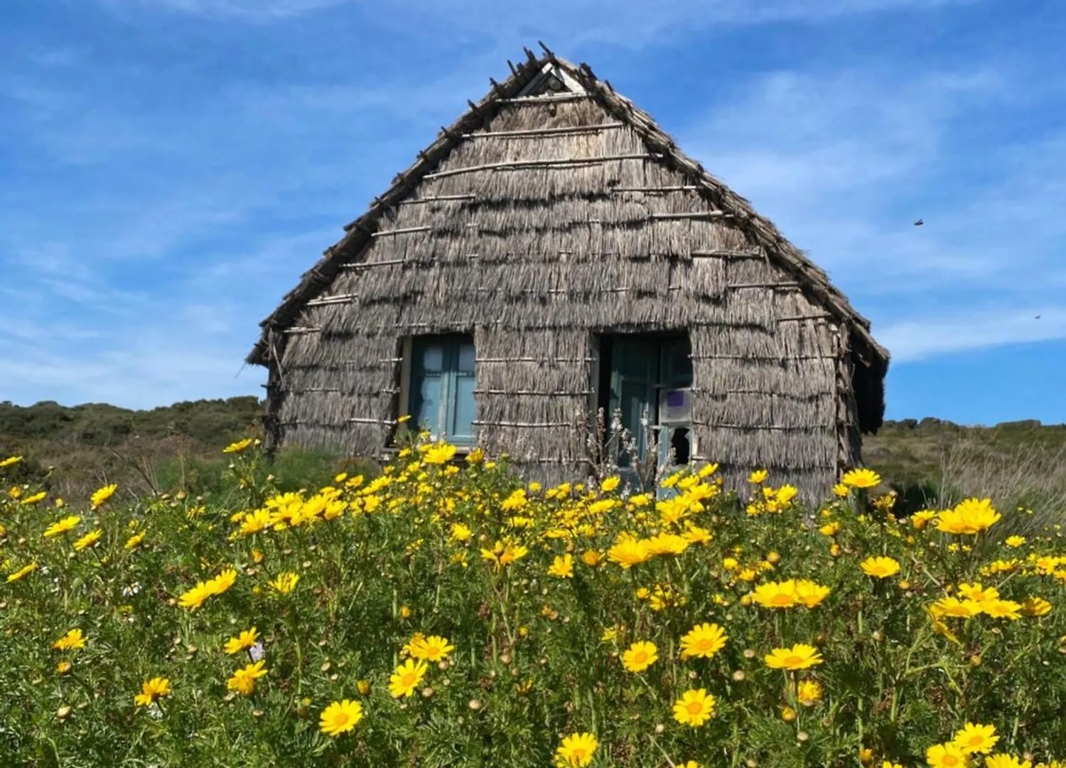 Hotel Villa Canu Cabras